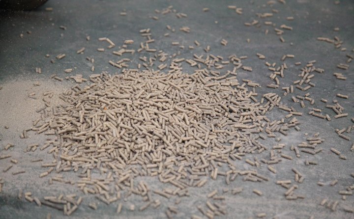 秸稈顆粒機(jī)將被代代焚燒的農(nóng)作物秸稈變成綠煤之稱的生物質(zhì)顆粒